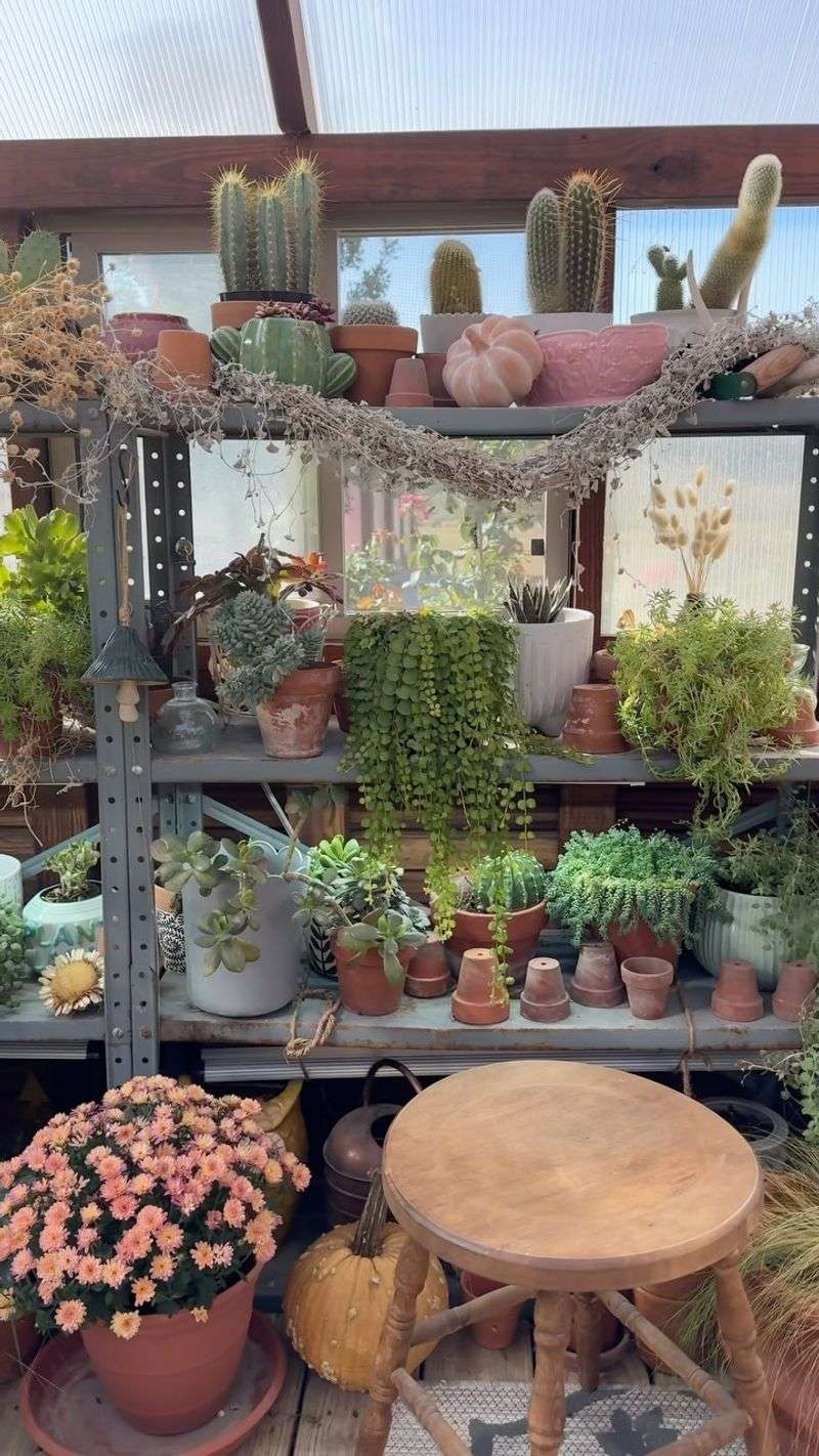 Multi-Tier Metal Utility Shelves