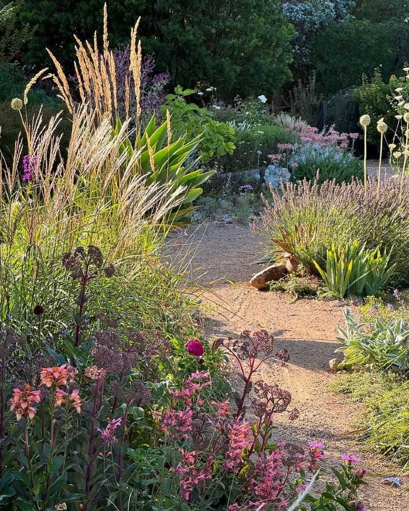 Planting Without A Plan