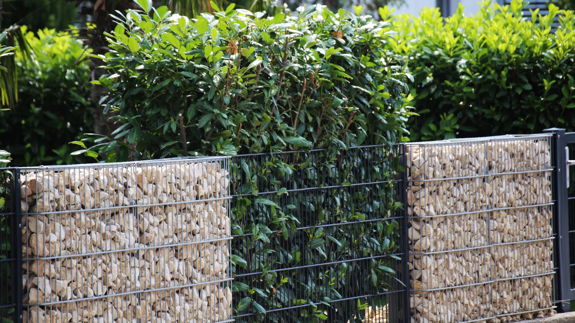 Gabion wall