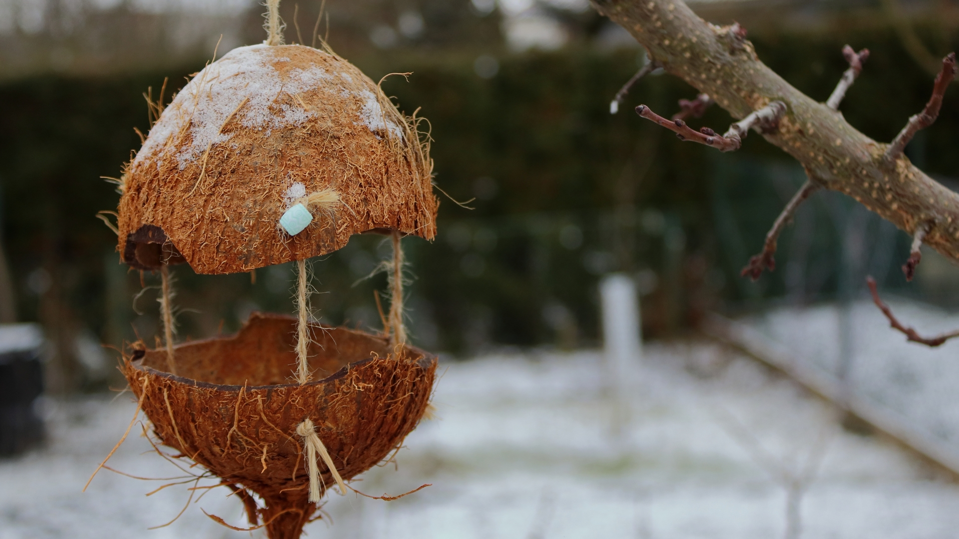 16 DIY Bird Feeders That’ll Make Birds Flock To Your Garden All Season Long