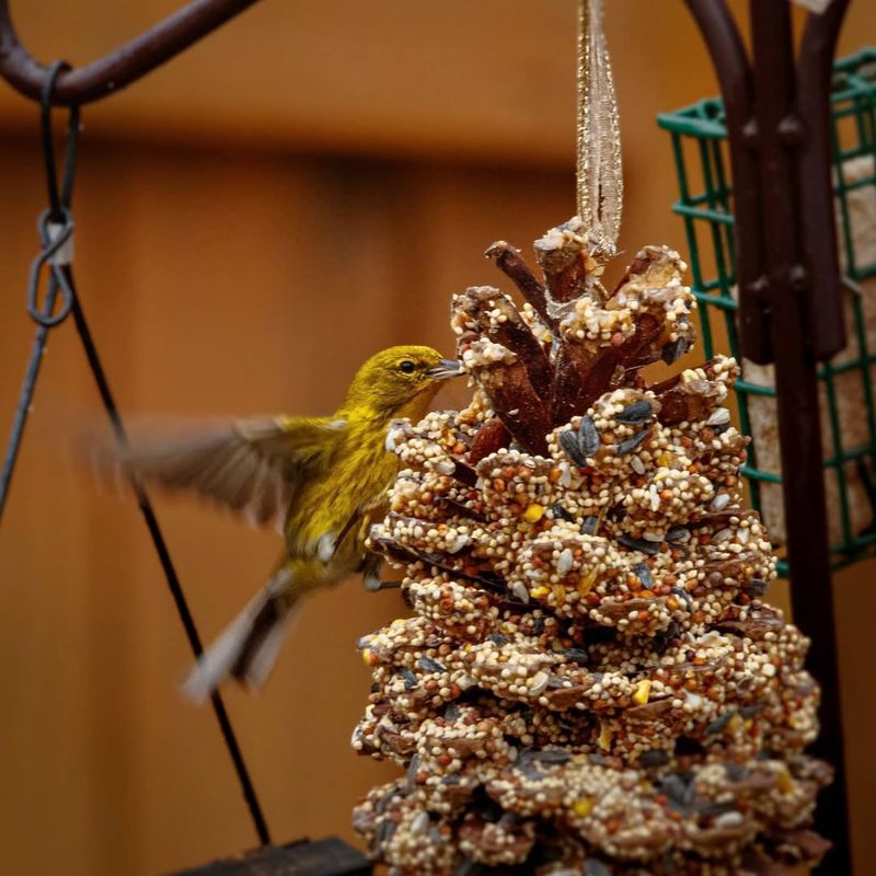 Pinecone Peanut Butter Feeder