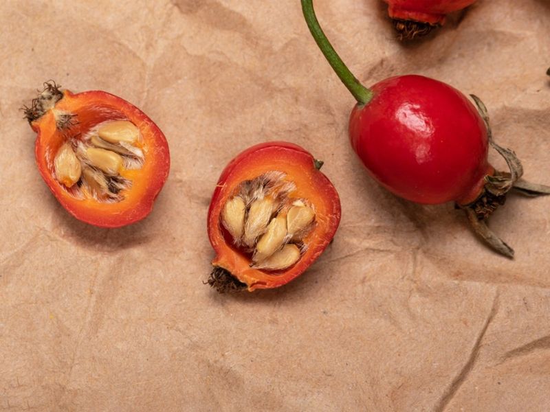 1. Select The Right Seeds For Your Climate Zone