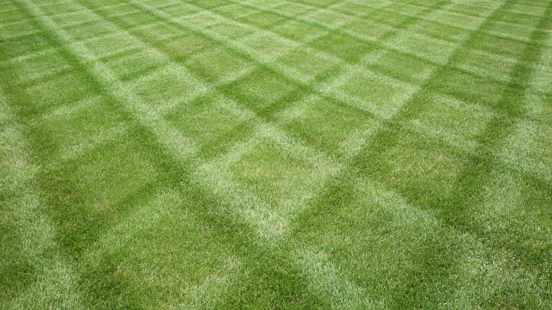 lawn mowing pattern