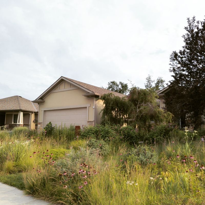 Eco-Friendly Suburban Homes