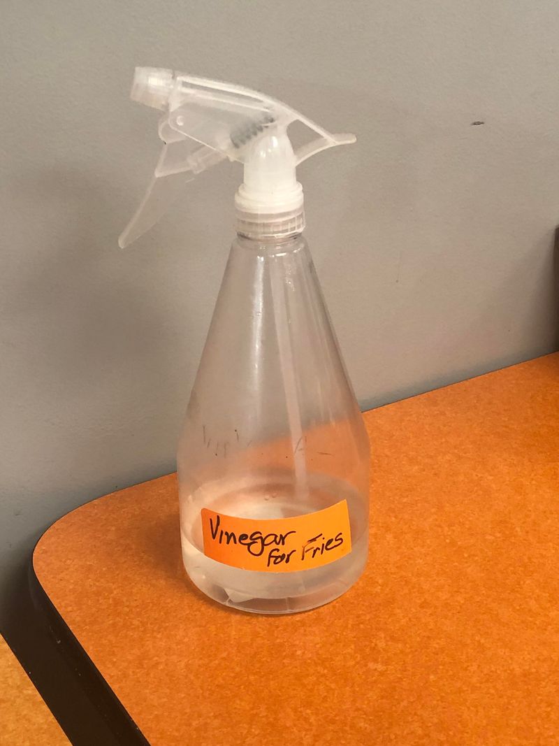 Vinegar Spray Solution