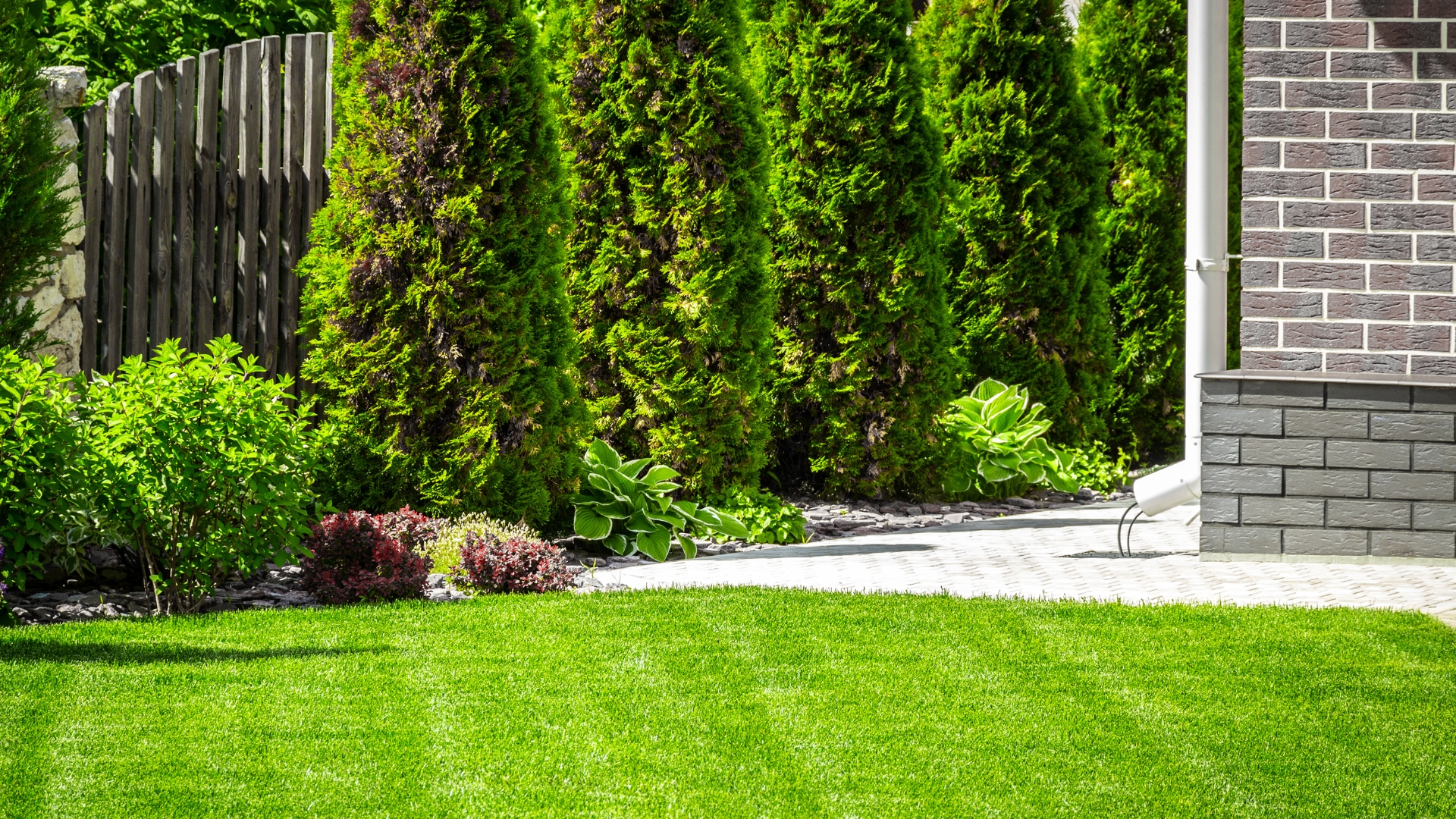 garden