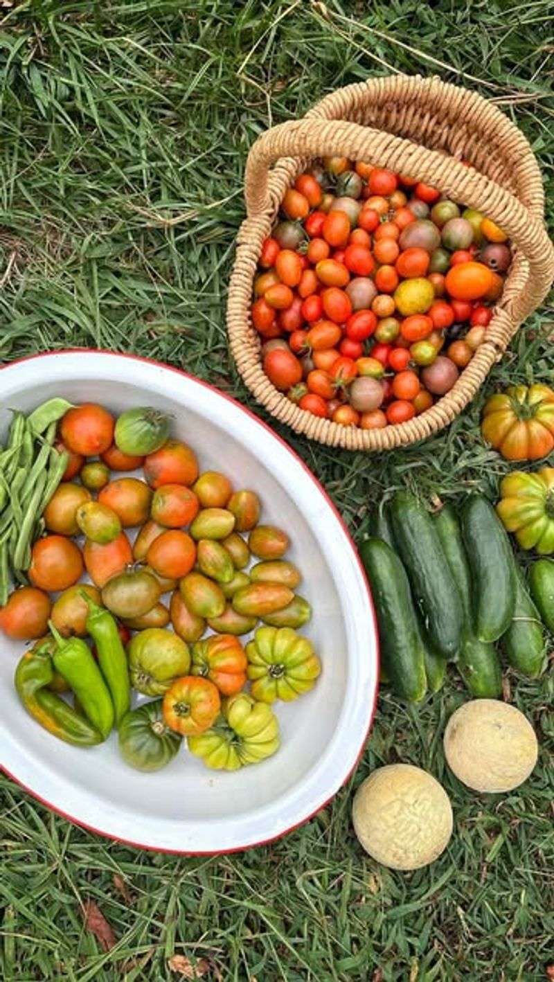 Grow Your Own Food