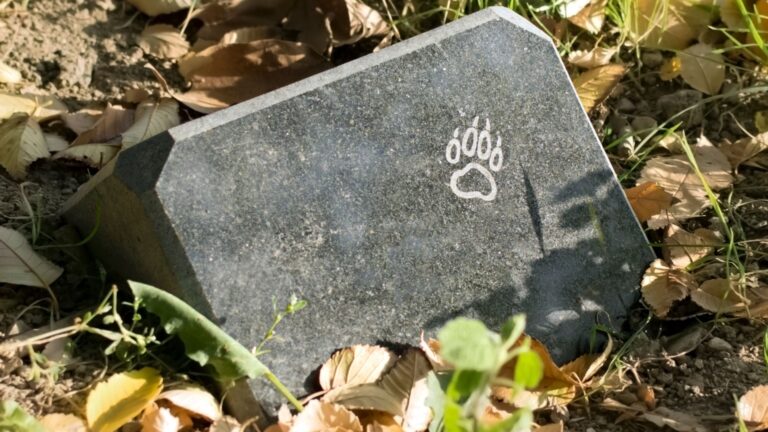 pet paw on a gravestone