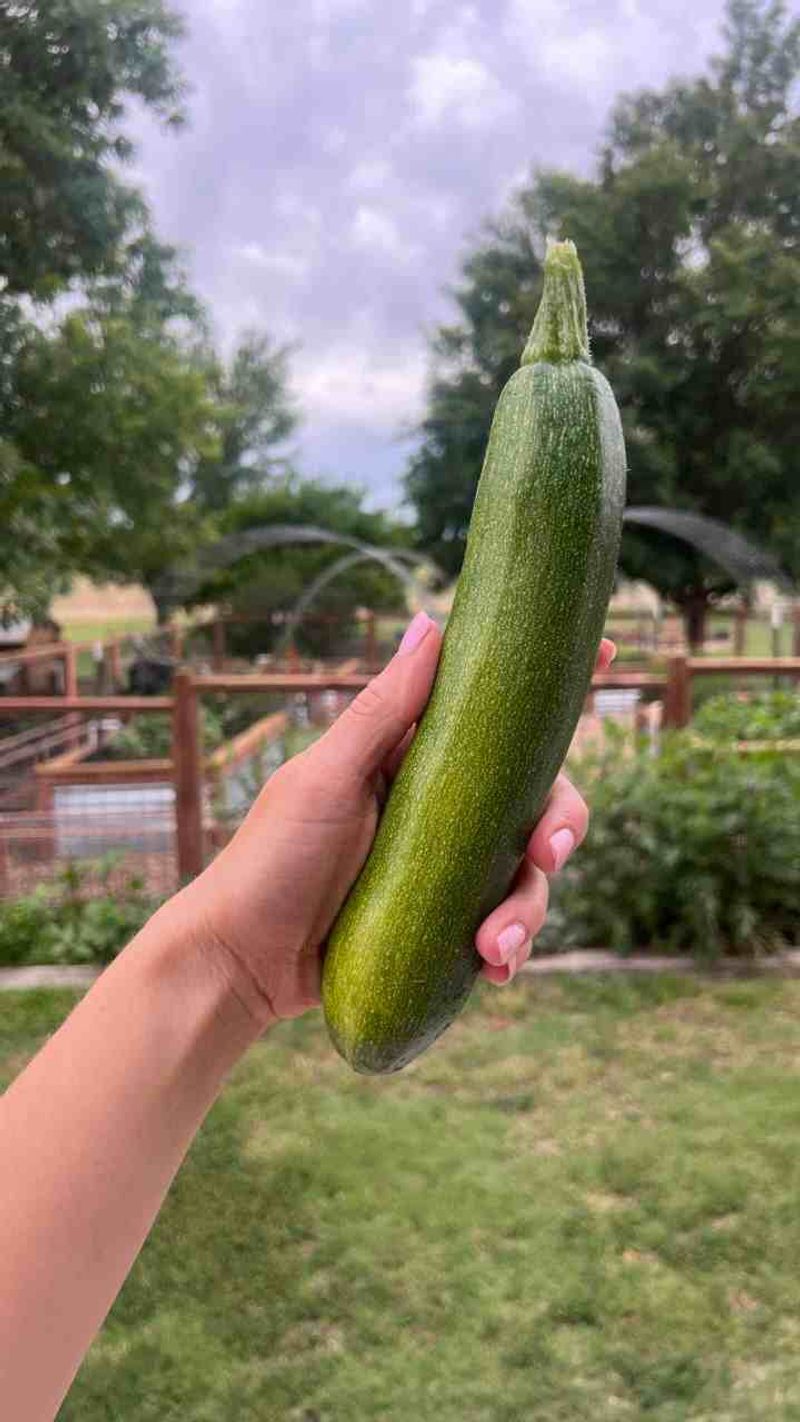 Ideal Length Reached