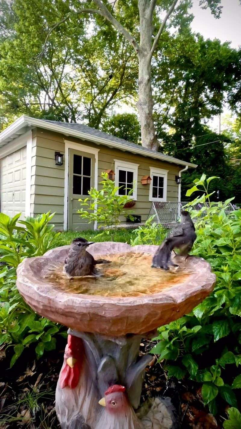 Clean Water Sources