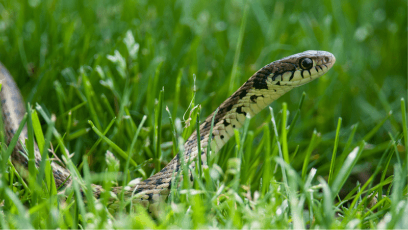 17. Keep Your Yard Clear Of Debris