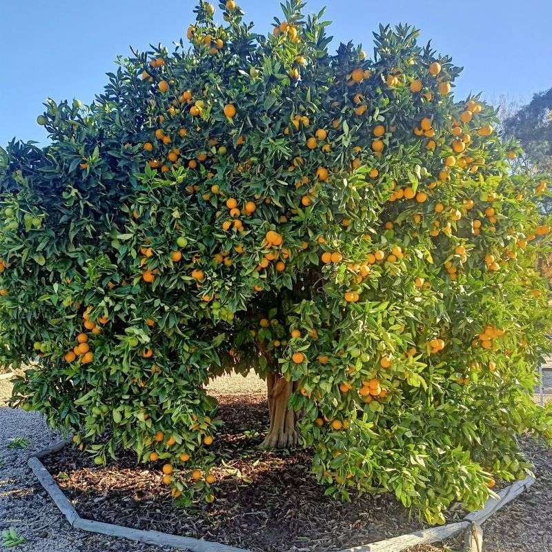 17. Document Your Pruning Results