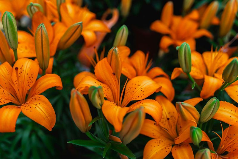 17. Sharpens Your Plant Knowledge