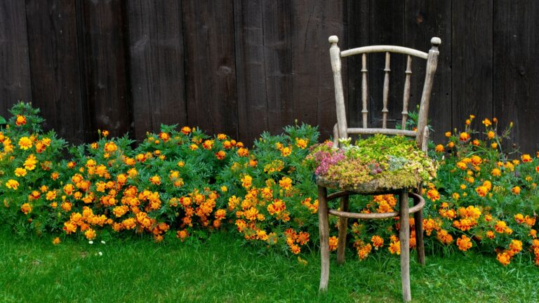 old chair as planter