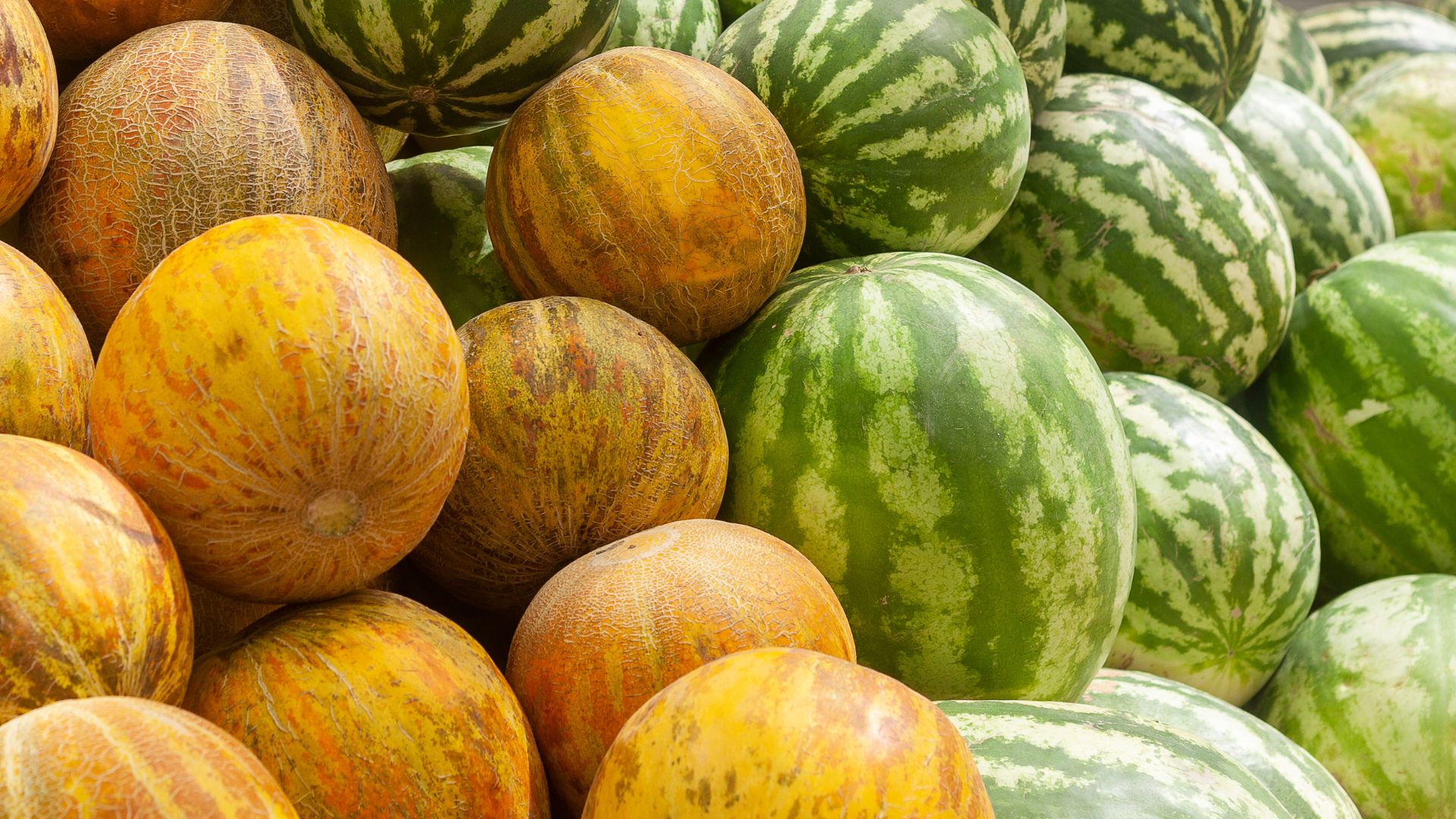melons