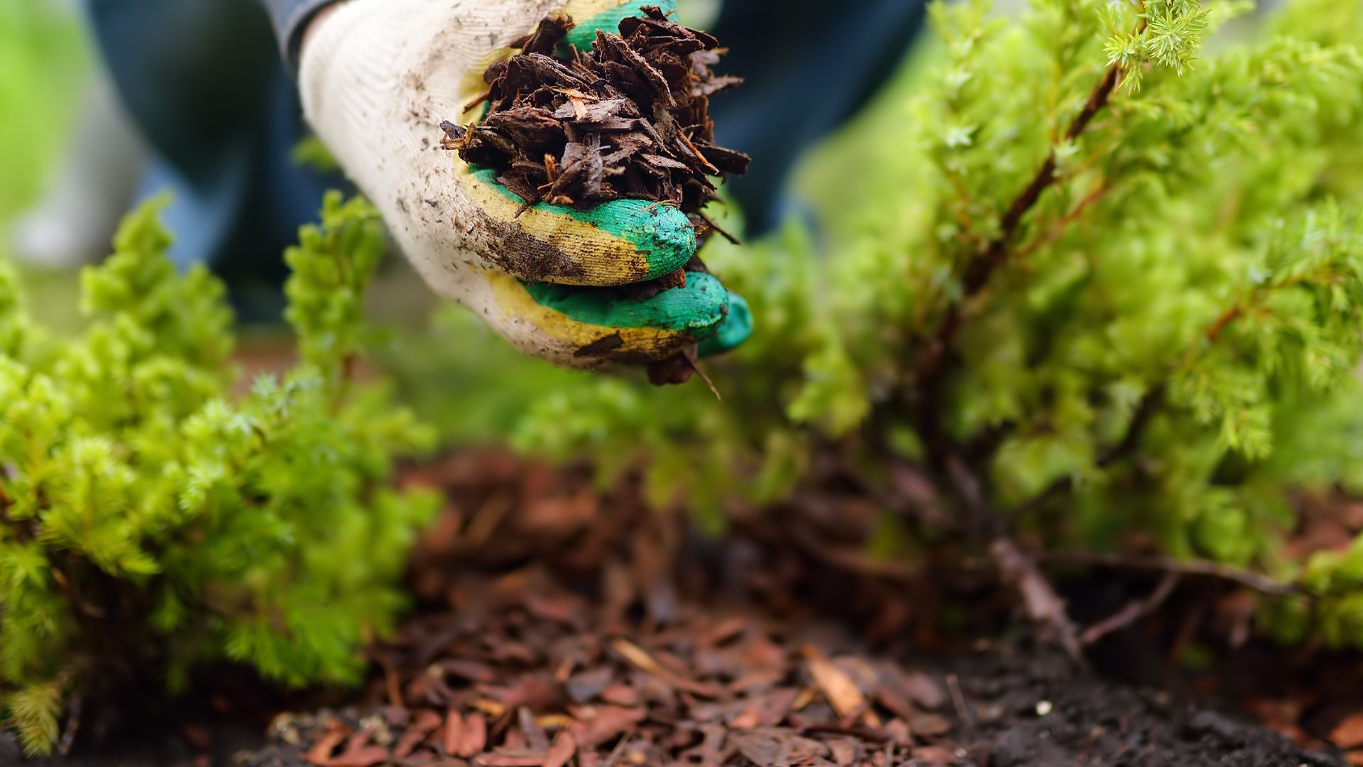 17 Mulch Types You Should Never Use In A Flower Bed (And What To Replace Them With)
