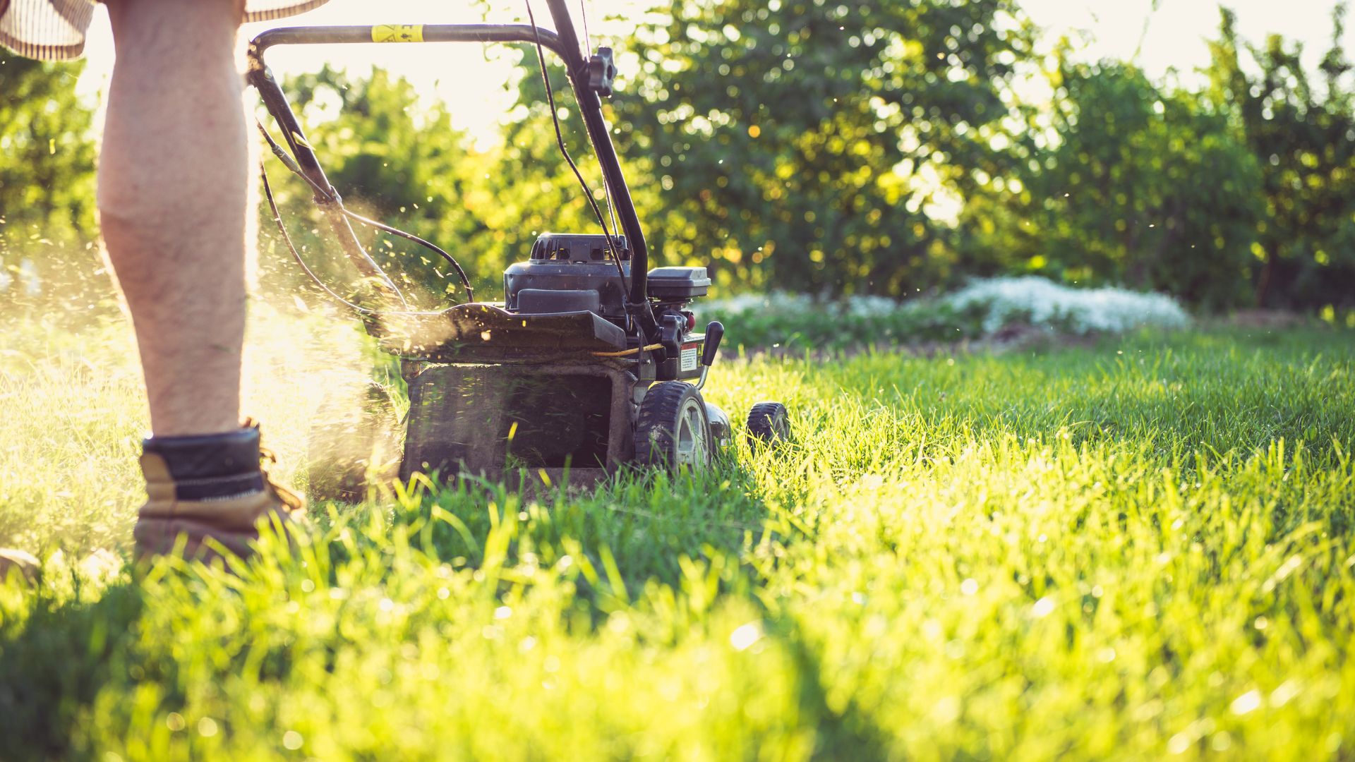 17 Reasons You Should Never Mow Over Patches Of Dead Grass (And What To Do Instead)
