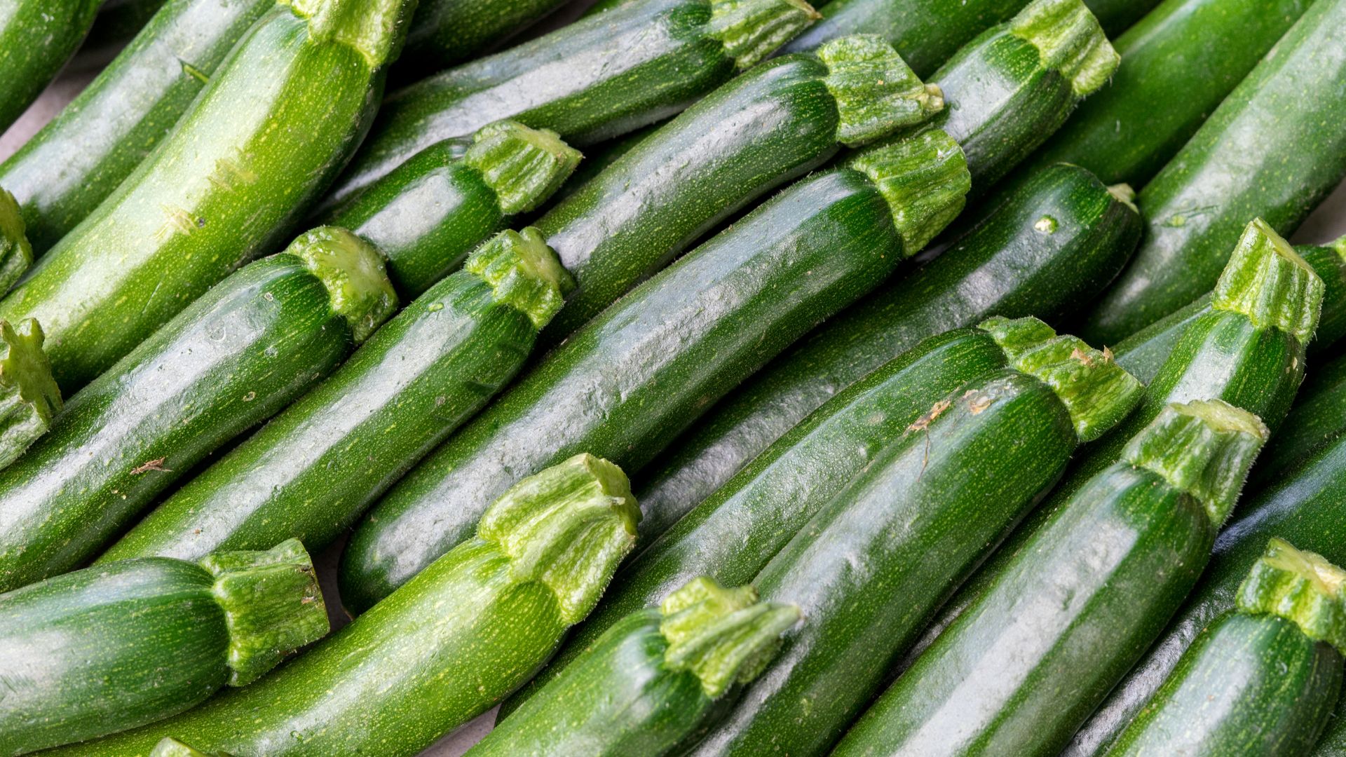zucchini