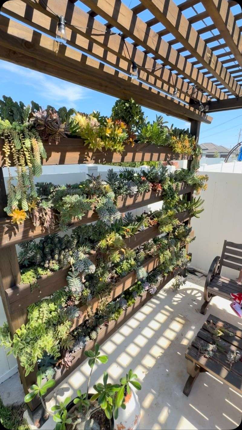 Vertical Succulent Wall