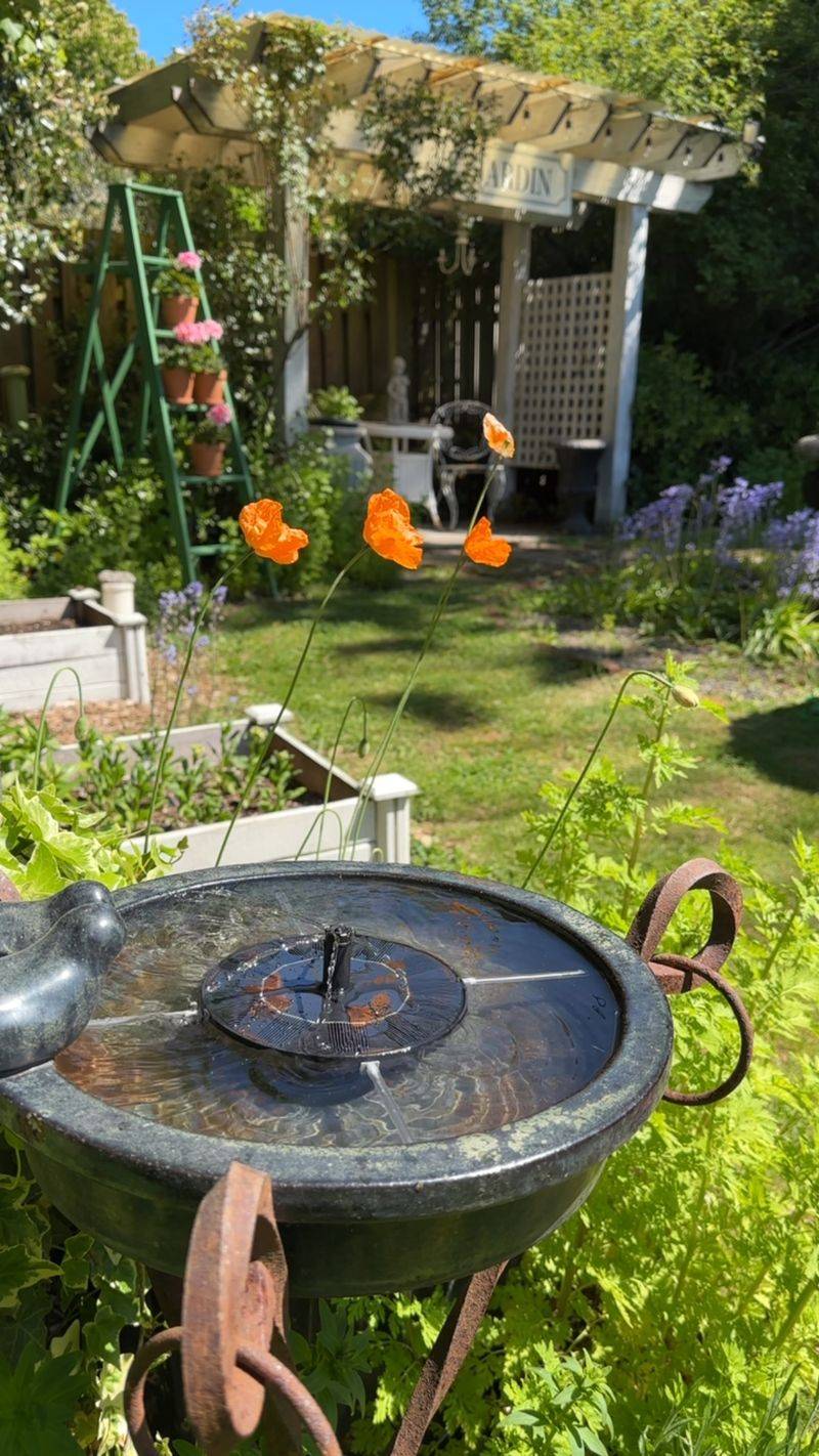 Bird Baths With Moving Water