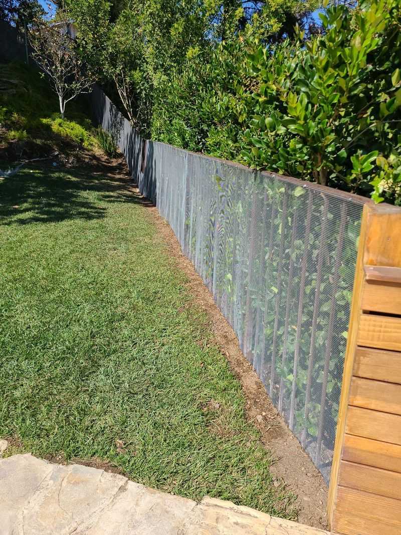18. Install Snake-Proof Fencing