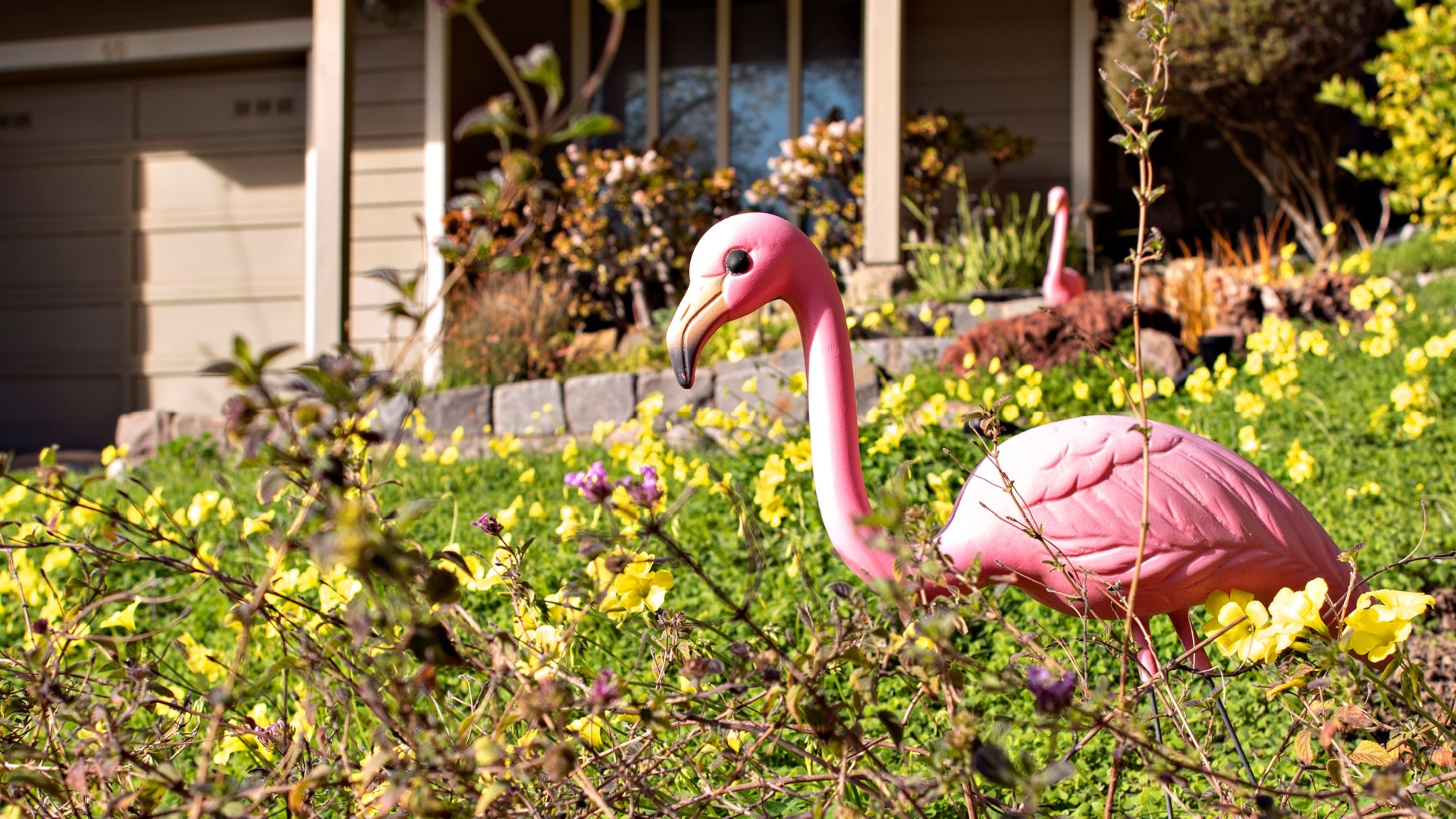 18 Common Landscaping Tricks That Make Your House Look Cheap