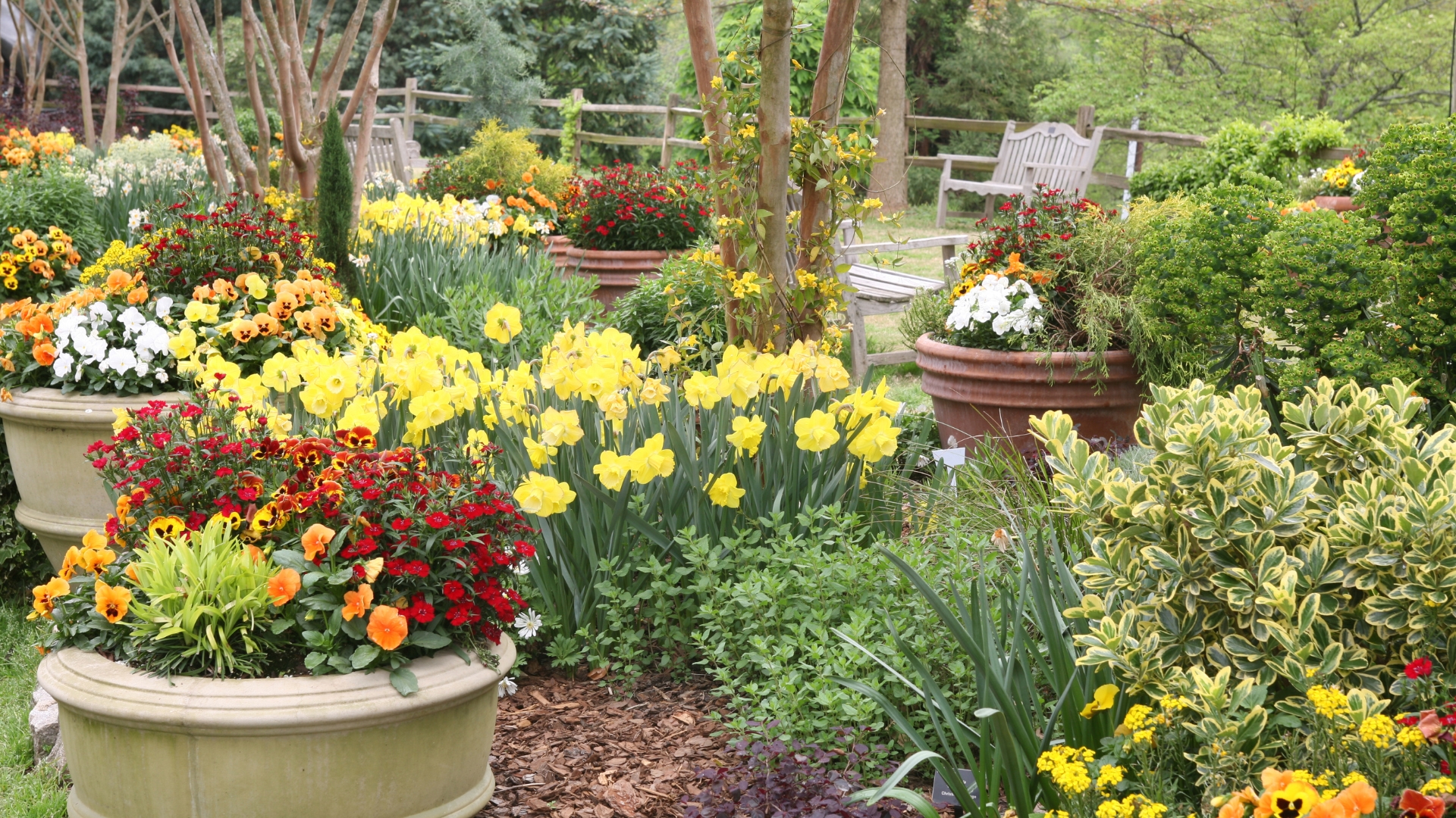 18 Heat-Loving Plant Combos For Containers (Plus Tips To Keep Them Thriving All Summer)