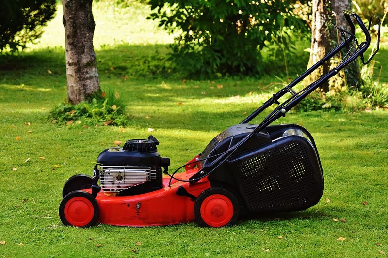 Measure Your Yard Size First