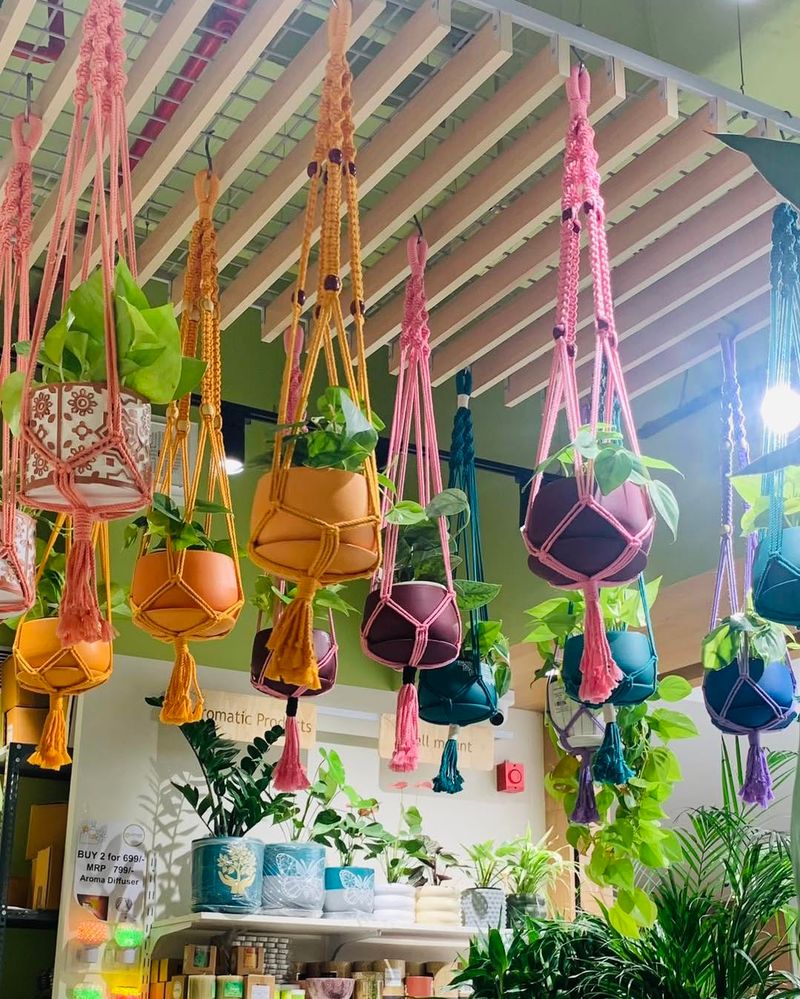 Hanging Macramé Planters