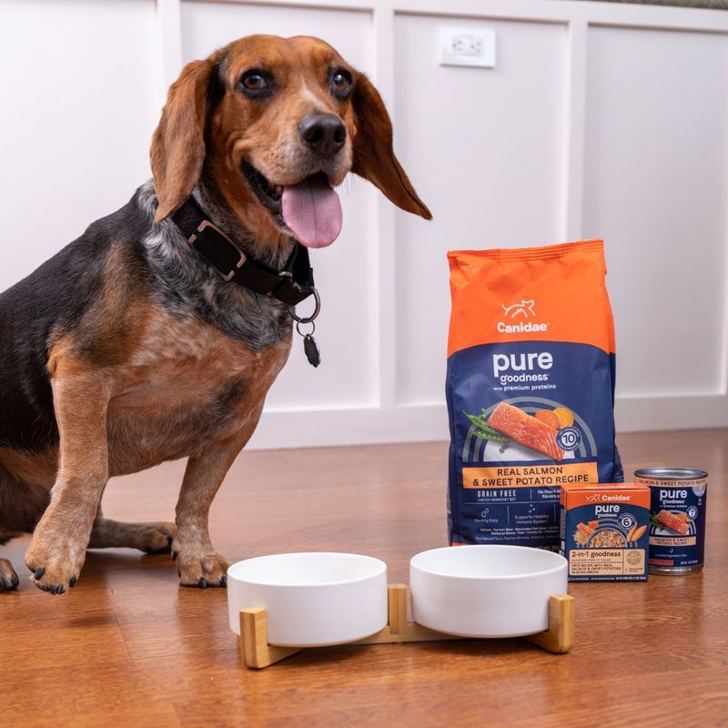 Pet Food