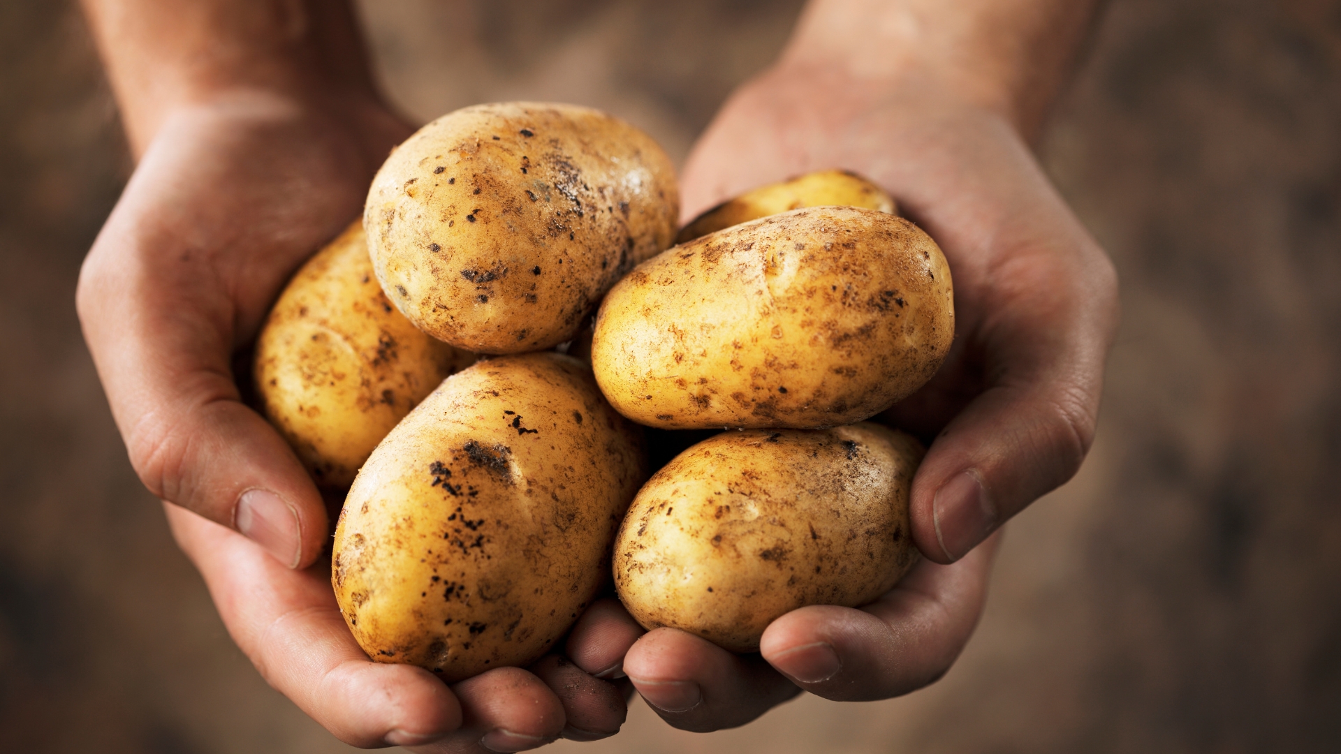 18 Survival-Ready Plants For Your Doomsday Garden (And How To Care For Them)