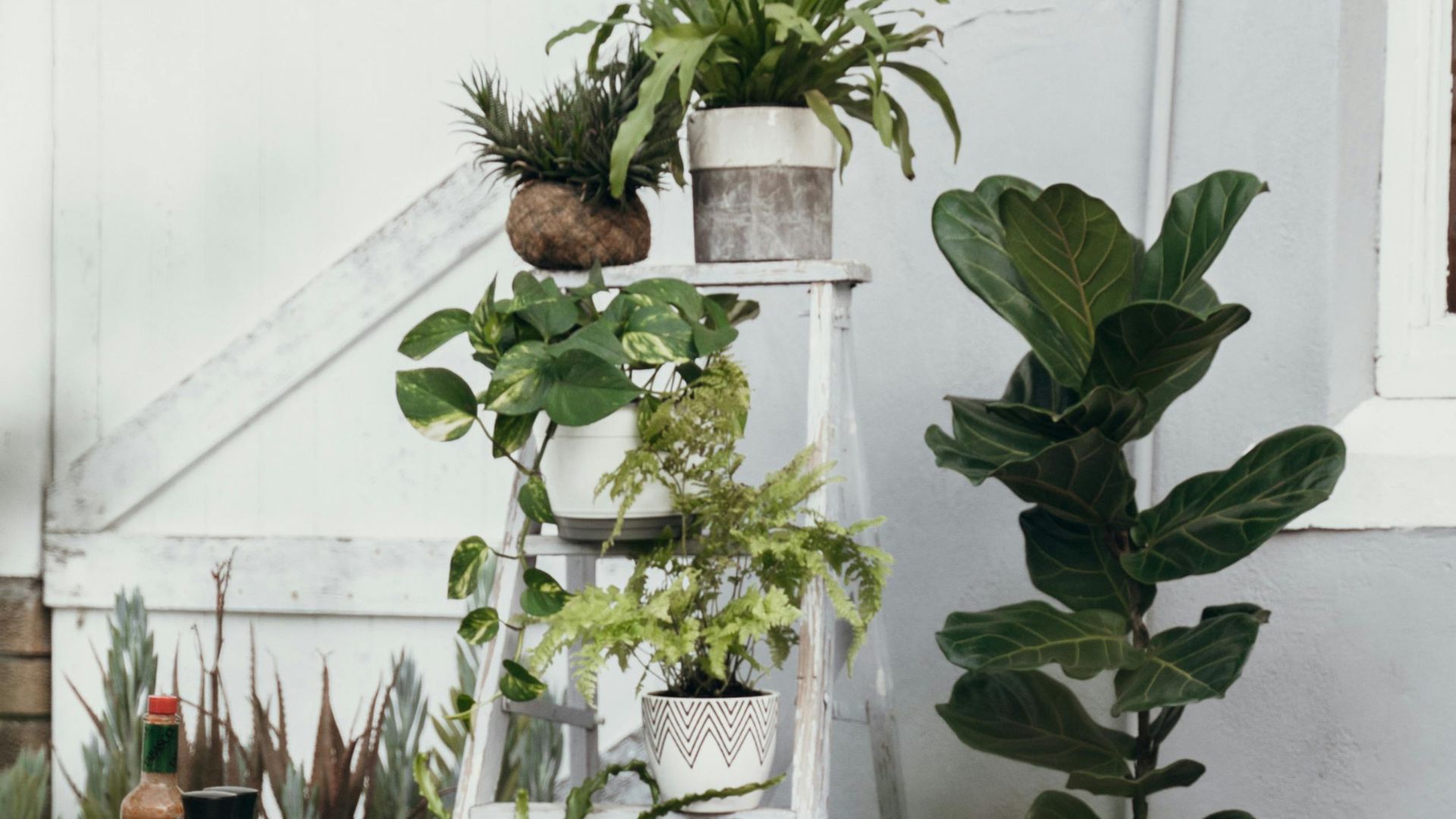 18 Thrifted Garden Decor Finds That Are Always Worth Grabbing