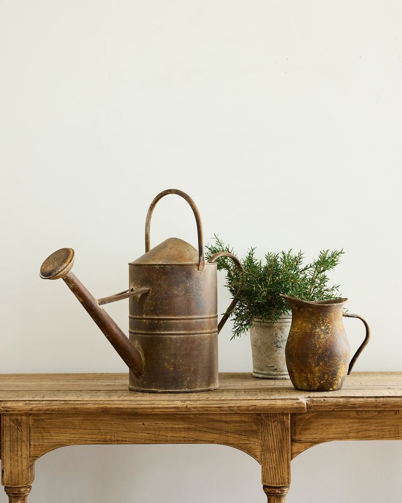 Vintage Watering Cans