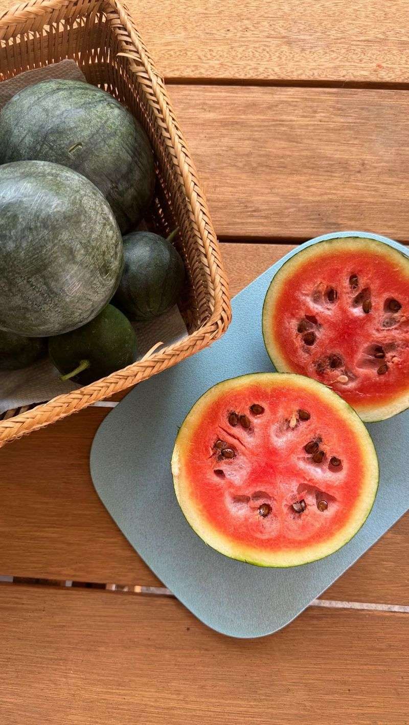 19. Melons - Sweet Summer Treats