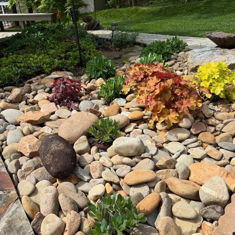 Drought-Resistant Rock Garden