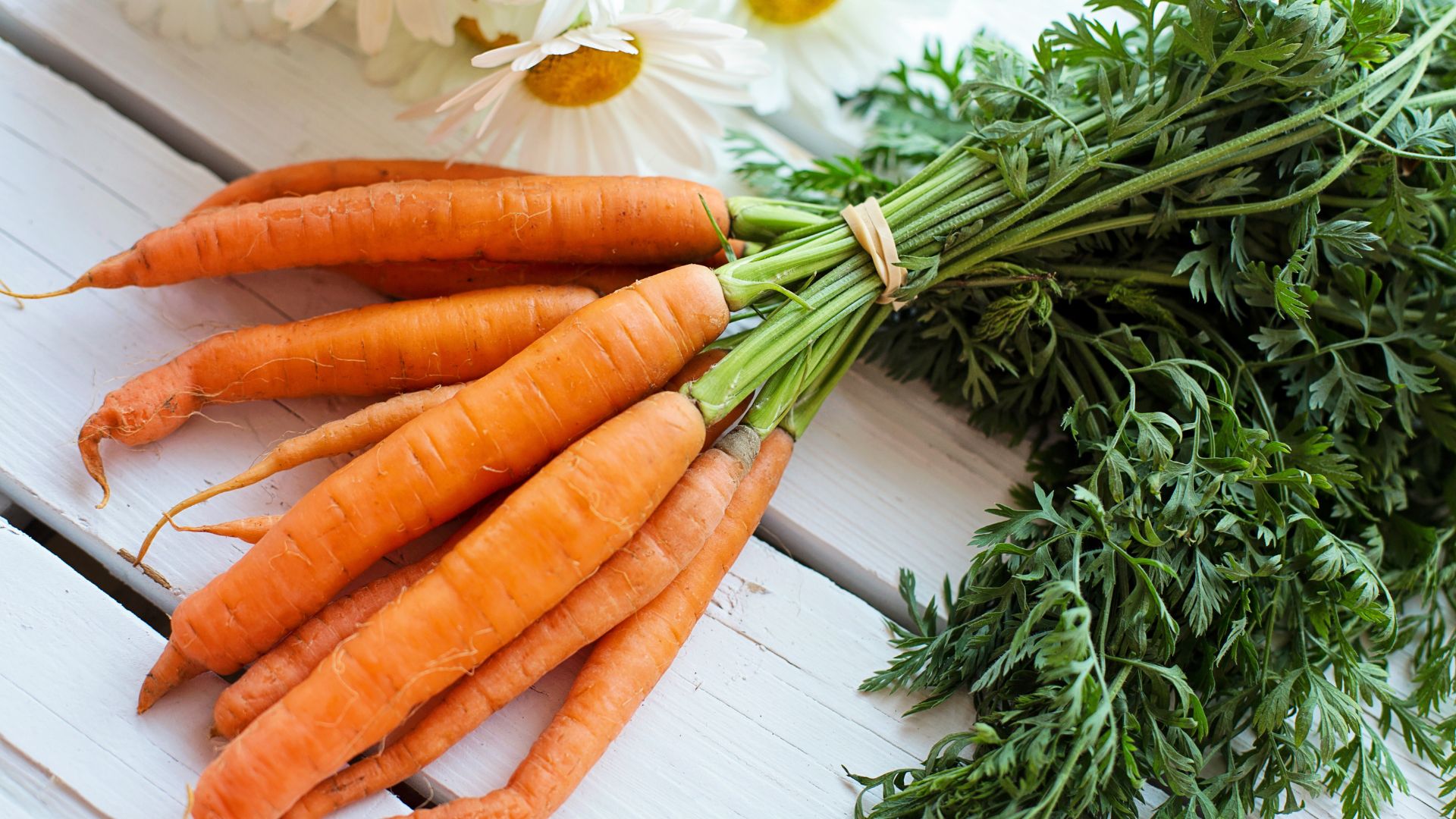 carrots