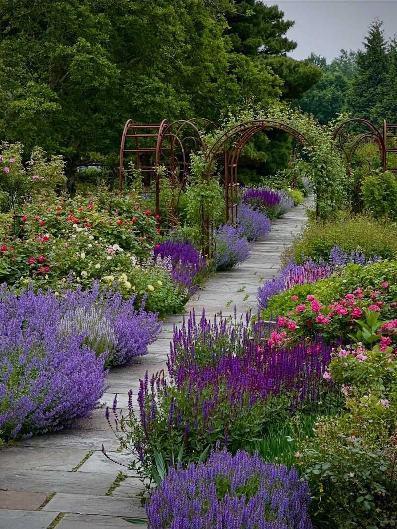 3. Lavender