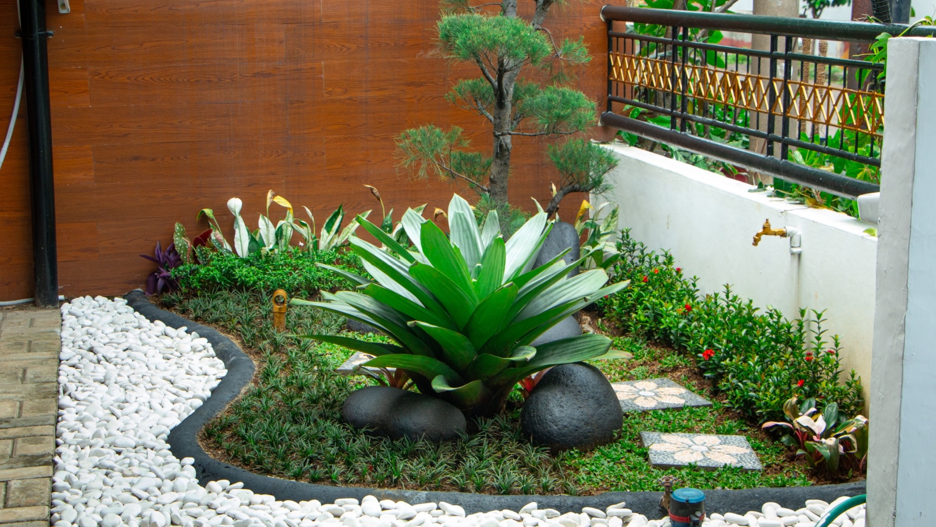 tiny lawn