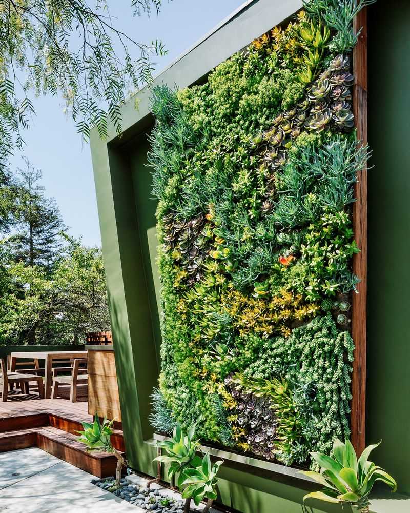Living Green Wall