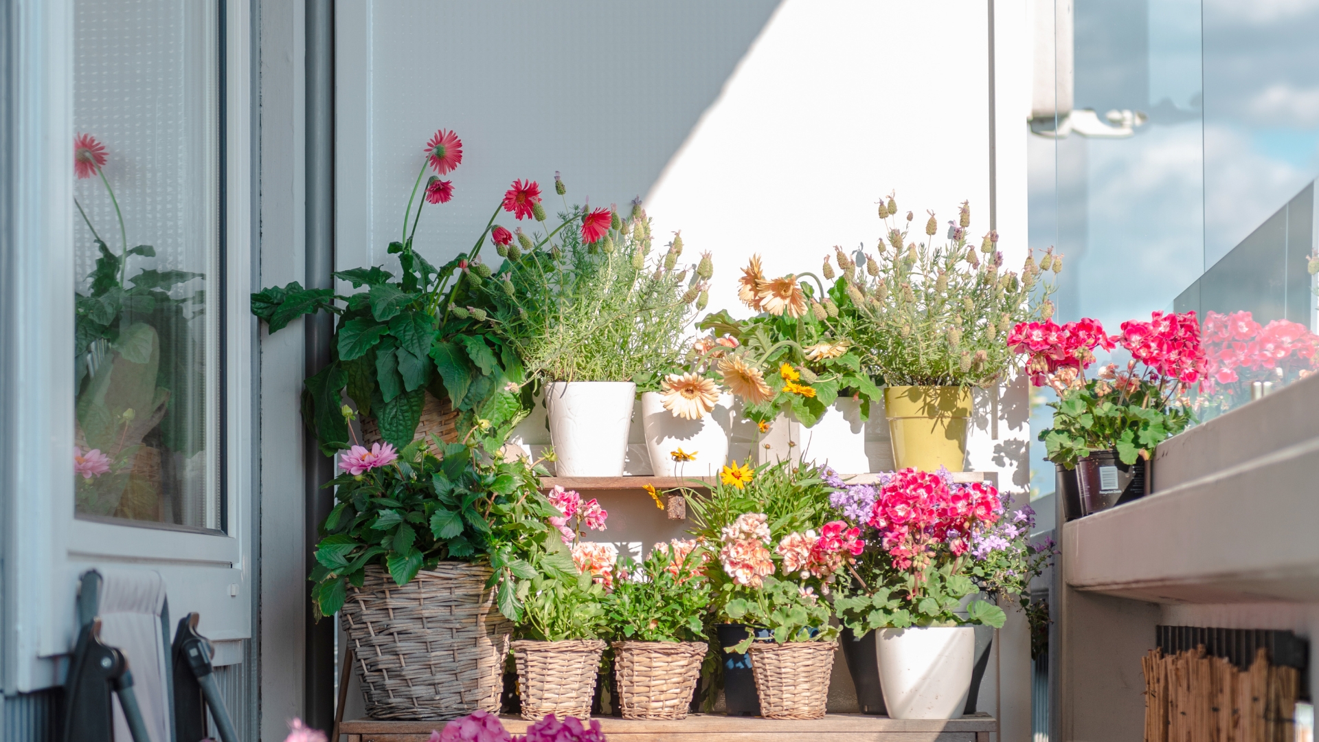 20 Balcony Plants That Never Drop Leaves (And Stay Clean All Season Long)