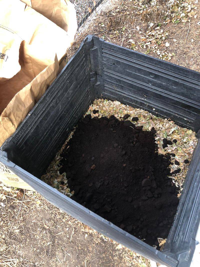 Coffee Grounds