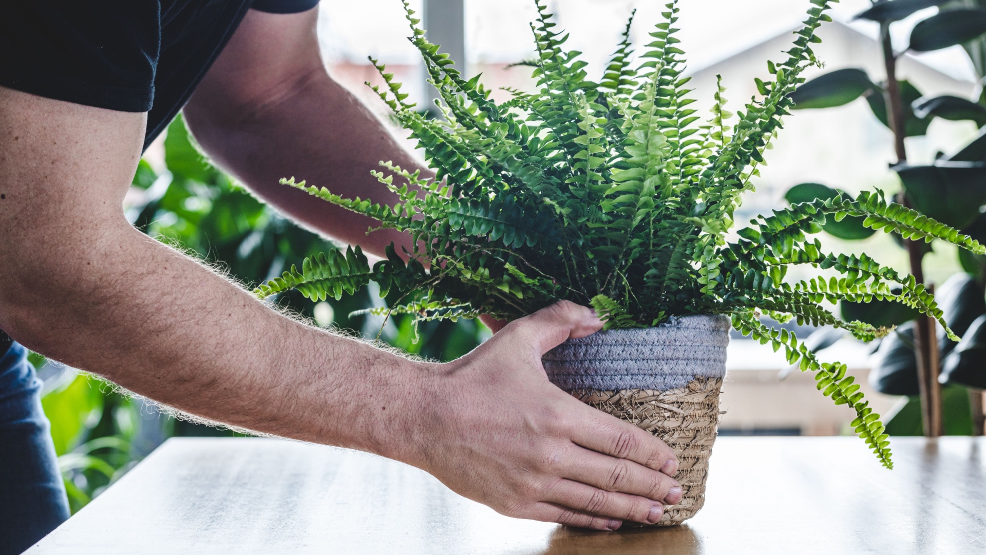 20 Pet-Safe Plants That Will Brighten Up Your Home Without Worry