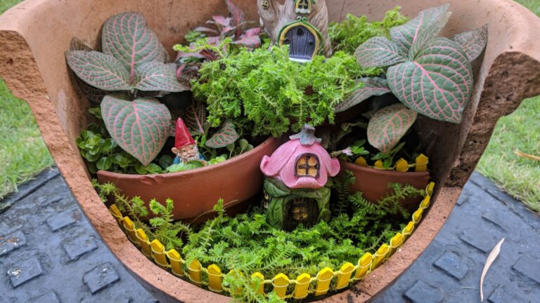 fairy garden