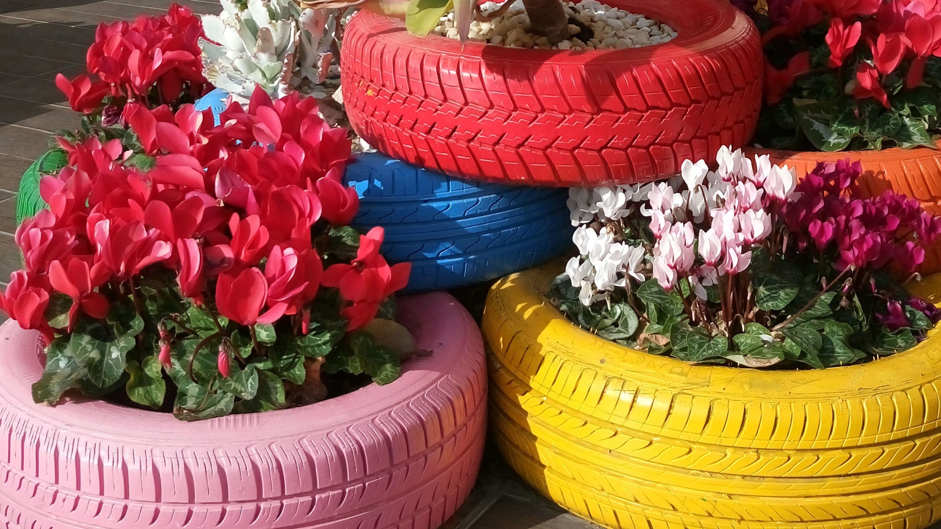 painted tires