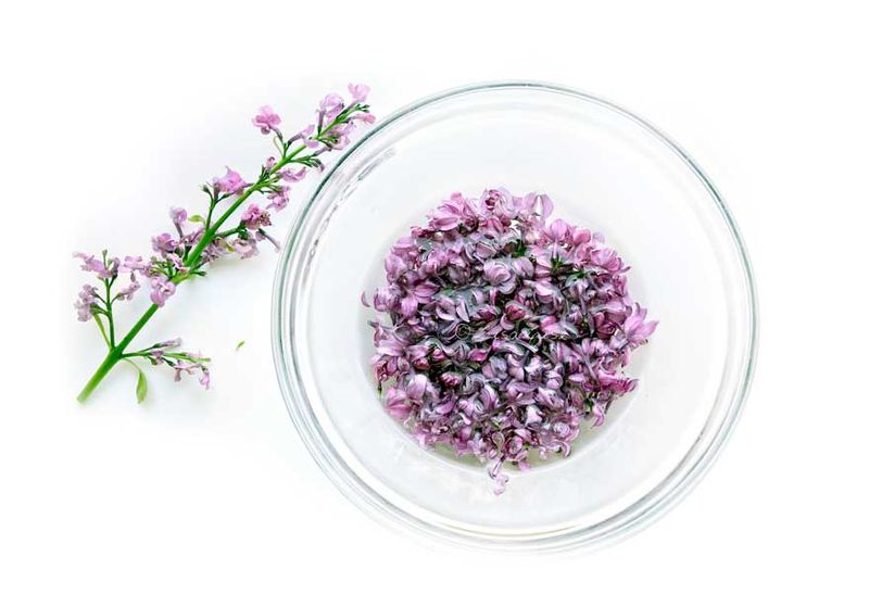 4. Glycerin Preservation