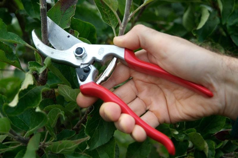 4. Pruning Techniques Matter