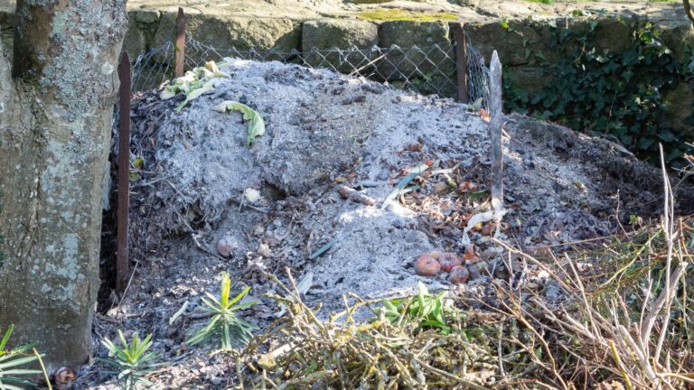 wood ash on compost