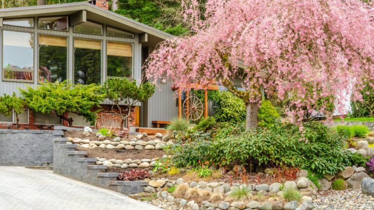 no-grass front yard landscape