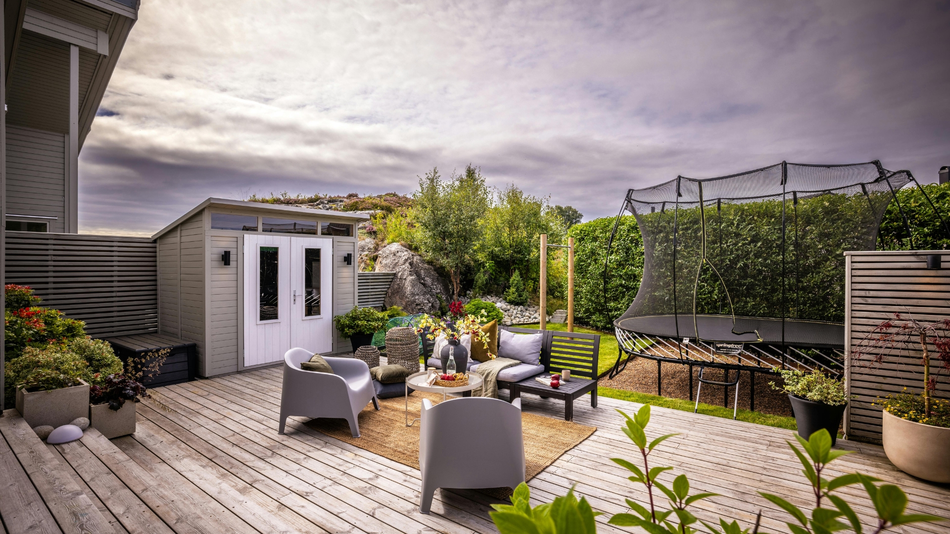 modern backyard