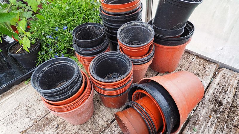 5. Switch To Glazed Or Plastic Pots